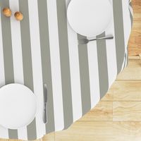 Dove Grey 2" Wide Cabana Stripes