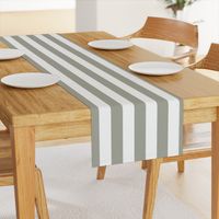 Dove Grey 2" Wide Cabana Stripes