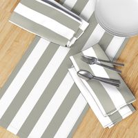 Dove Grey 2" Wide Cabana Stripes