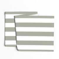 Dove Grey 2" Wide Cabana Stripes