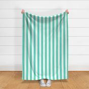 Aqua 2" Wide Cabana Stripes