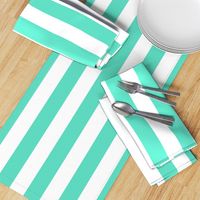 Aqua 2" Wide Cabana Stripes