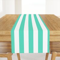 Aqua 2" Wide Cabana Stripes