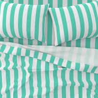 Aqua 2" Wide Cabana Stripes