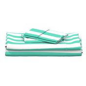 Aqua 2" Wide Cabana Stripes