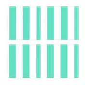 Aqua 2" Wide Cabana Stripes