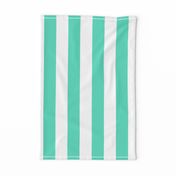 Aqua 2" Wide Cabana Stripes