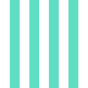 Aqua 2" Wide Cabana Stripes