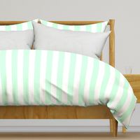 Summer Mint 2" Wide Cabana Stripes