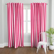 Pop Pink 2" Wide Cabana Stripes