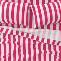 Pop Pink 2" Wide Cabana Stripes