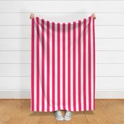 Pop Pink 2" Wide Cabana Stripes