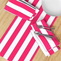 Pop Pink 2" Wide Cabana Stripes