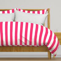 Pop Pink 2" Wide Cabana Stripes