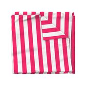 Pop Pink 2" Wide Cabana Stripes