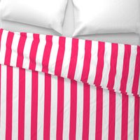 Pop Pink 2" Wide Cabana Stripes