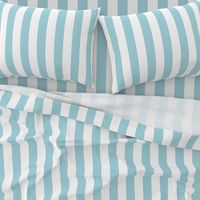 Garter Blue 2" Wide Cabana Stripes