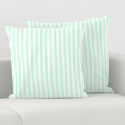 Summer Mint Sailor 1/2" Thin Stripes