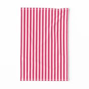 Pop Pink Sailor 1/2" Thin Stripes