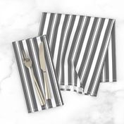 Charcoal Grey Deckchair Stripes