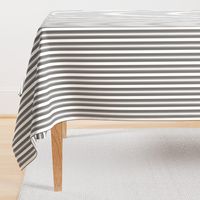Charcoal Grey Deckchair Stripes
