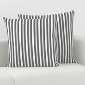 Charcoal Grey Deckchair Stripes