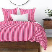 Pop Pink Deckchair Stripes