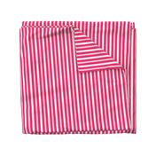 Pop Pink Deckchair Stripes