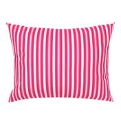 Pop Pink Deckchair Stripes