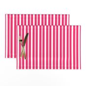 Pop Pink Deckchair Stripes