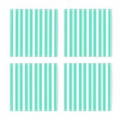 Aqua Blue Deckchair Stripes