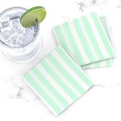 Summer Mint Deckchair Stripes