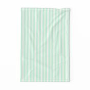 Summer Mint Deckchair Stripes