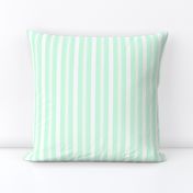 Summer Mint Deckchair Stripes