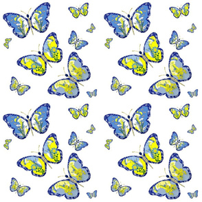 Butterfly Fairies Dream