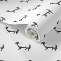 Numerable Sheep II