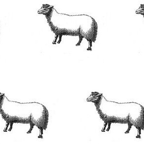 Numerable Sheep II
