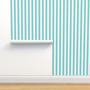 1 inch Stripe- Turquoise