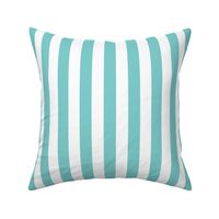 1 inch Stripe- Turquoise