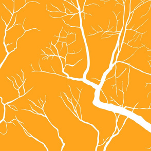 Orange_Branches_LAB_TIF