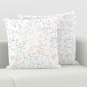 Constellations - Rainbow & White background