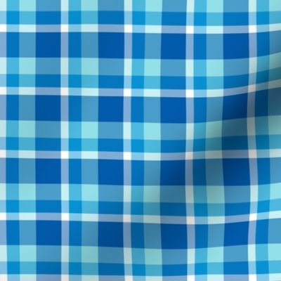 Blue Plaid