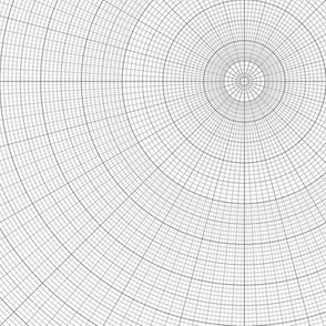 04945376 : polar graph : large square