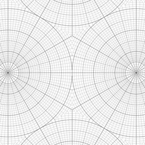04945382 : polar graph : portrait hexagon