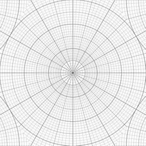 04945383 : polar graph : landscape hexagon