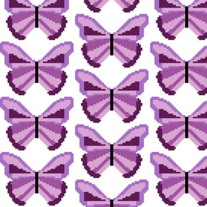 Purple butterfly