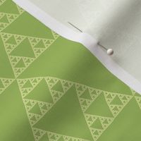 Sierpinski triangle in green tea