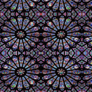 notre-dame-stained-glass medium