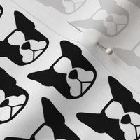 Boston Terrier fabric - Boston face silhouettes in black & white