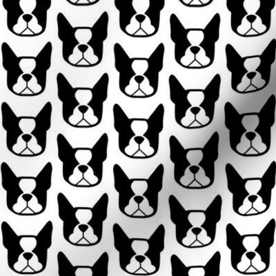 Boston Terrier fabric - Boston face silhouettes in black & white